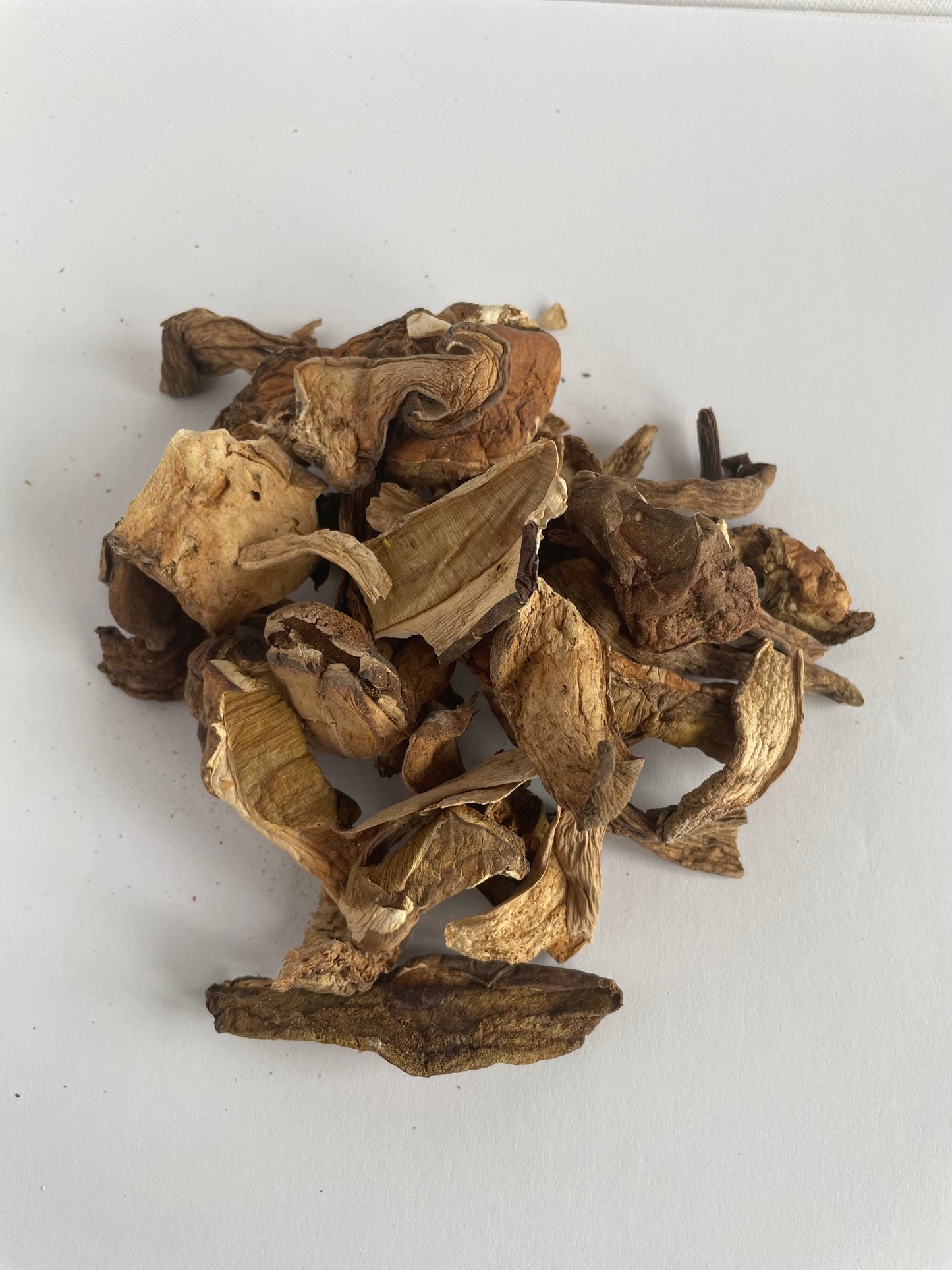 #j Steinpilze getrocknet 10g